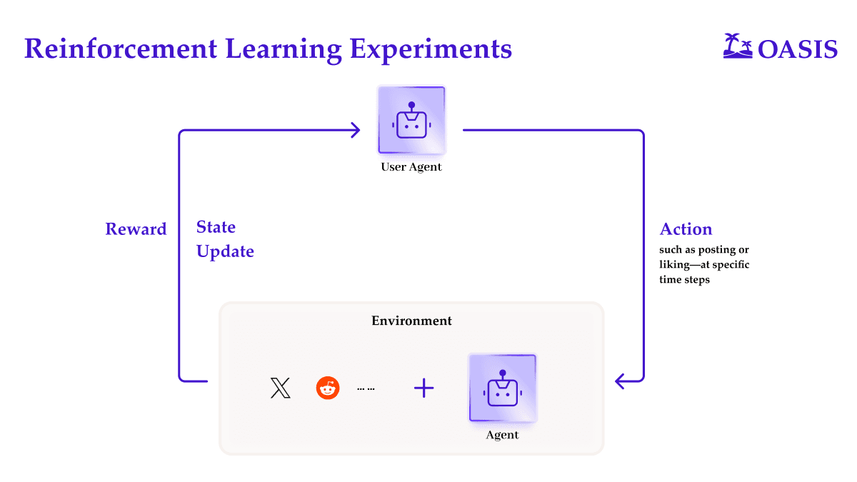 Reinforcement learning experiment loop in OASIS: a User Agent takes actions (e.g., posting, liking) in an AI agent environment (social platforms + agents), receives state updates and rewards to refine behavior.